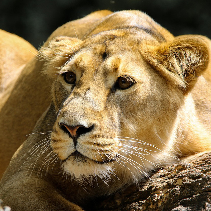 Welcome to Top Hiking