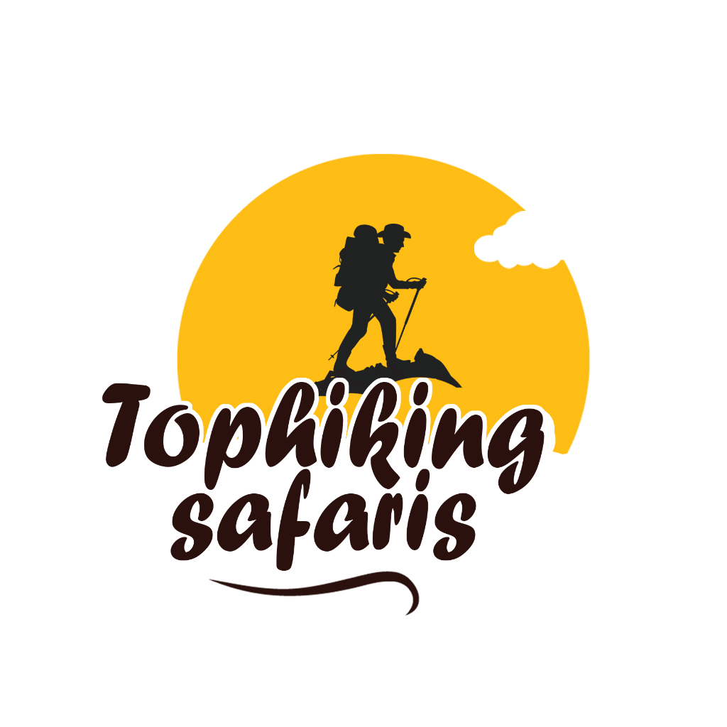 Top Hiking Logo